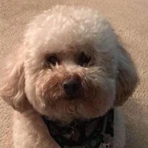 Meet your Posher, Wendy